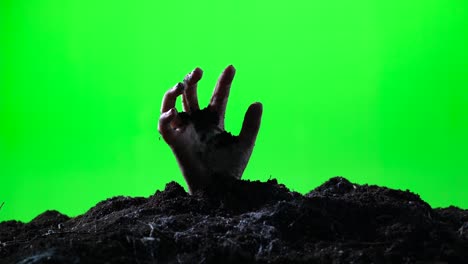 zombie hand emerging from the ground. green screen. 006