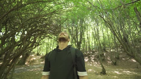 mirando el cielo y los árboles en el bosque, el joven está impresionado y fascinado.