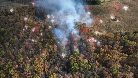 vista aérea de un incendio forestal con denso humo que se eleva, con animación de partículas de co2 que ascienden al cielo, destacando el impacto ambiental
