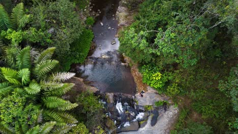 Top-Down Aerial of Pristine Jungle Waterfall — Paradise Pool (Drone)
