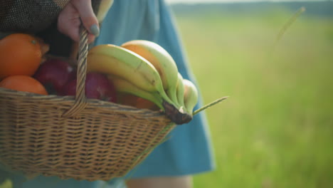 a woman in a blue gown carries a basket of fresh fruit, including bananas, oranges, and apples, in a sunlit field, with a child faintly visible in the background