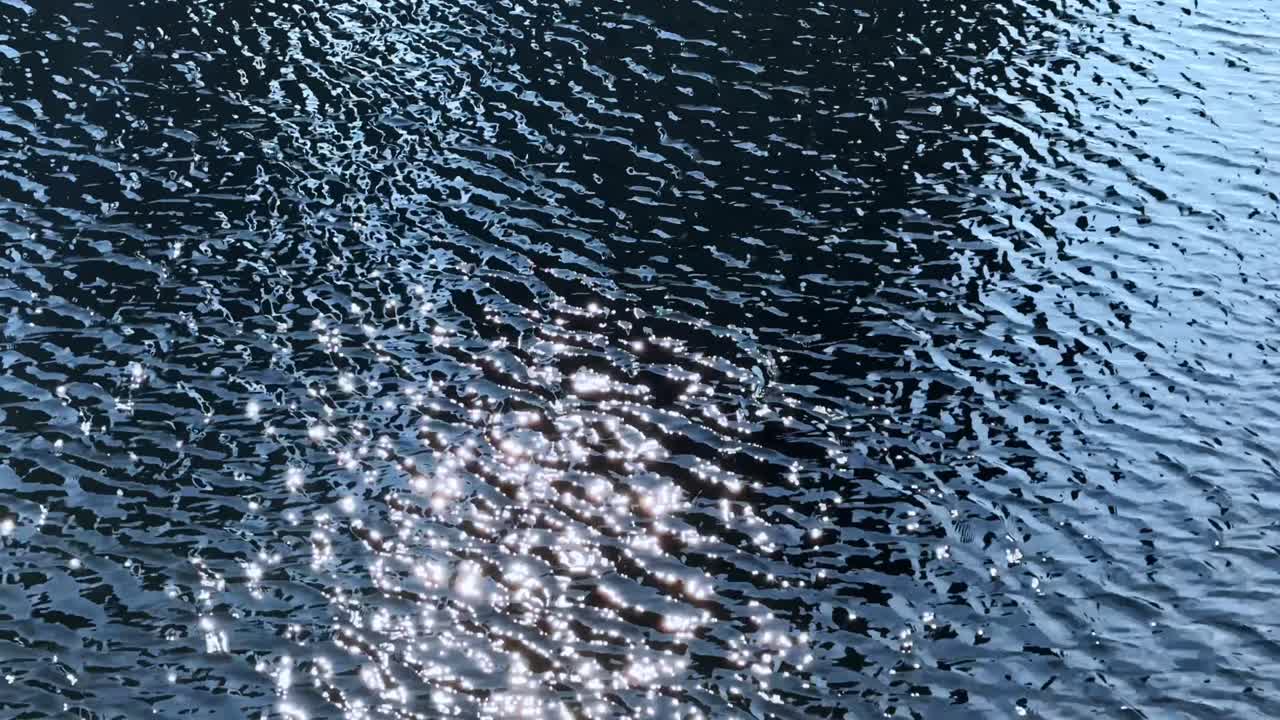 A sparkling water surface reflecting sunlight, captured in Harumi, Tokyo