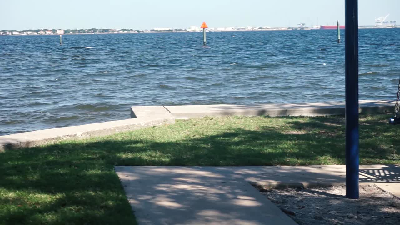 Woman On Swing Taking A Selfie With Pan Of View.