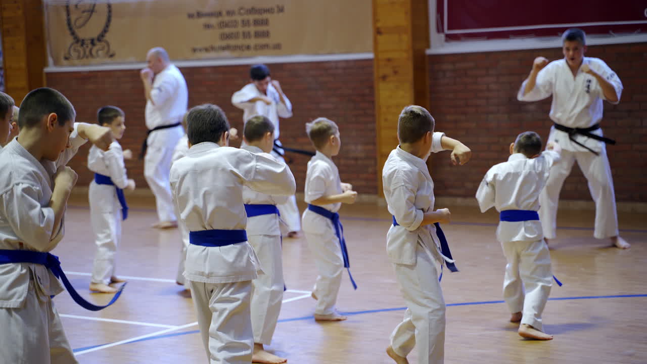 Young boys wearing white kimonos and blue belts practicing punches. Karate trainees repeat after the coaches.