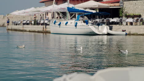 Seagulls-float-calmly-in-water-below-outdoor-cafe-seating-overlooking-coast,-Veli-Losinj-Croatia