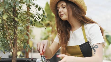 joven jardinera hermosa que trabaja en un invernadero de jardín interior