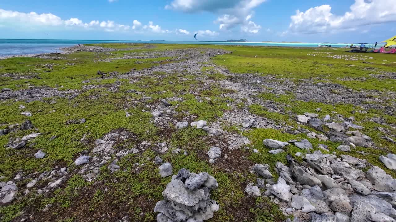 Man practicing kitesurf on caribean sea, TILT UP beach with green grass, Los Roques