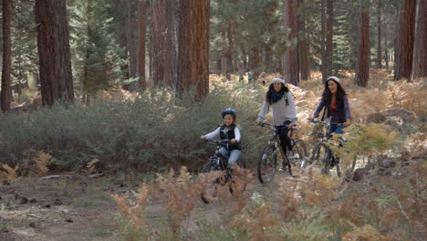 Pareja-De-Lesbianas-En-Bicicleta-En-Un-Bosque-Con-Su-Hija