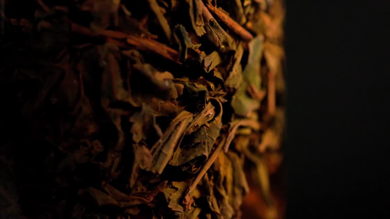 té negro a largo plazo elaborado en una columna de vidrio de prensa francesa - primer plano