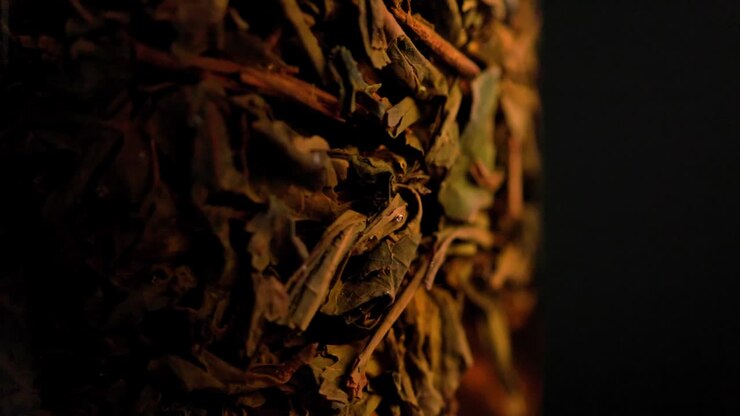 black long-term tea brewed in french-press glass column - close-up