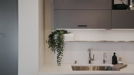 modern kitchen sink and countertop with white accents and a green plant decoration