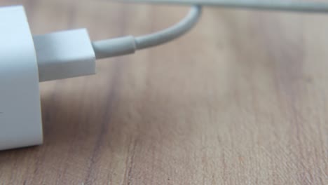 cargador de manzana blanca en la mesa de madera