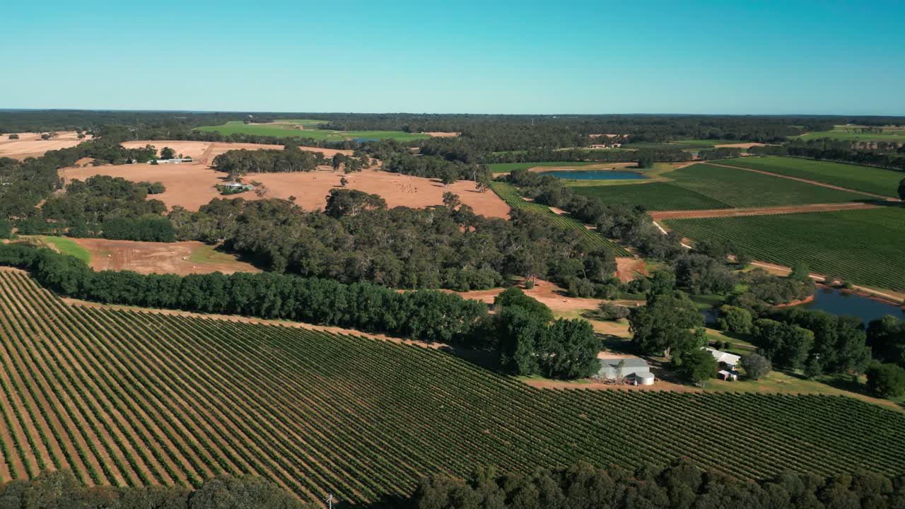 Tomada de drone sobre o vinhedo de Margaret River no sudoeste da Austrália, perto de Perth, em um dia ensolarado com céu azul claro.