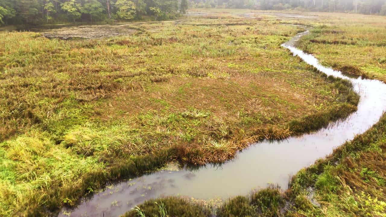 Narrow river and swampy meadow on misty day, aerial low altitude flying view