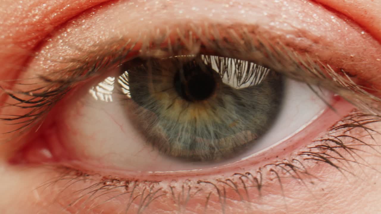 인간 눈의 클로즈업