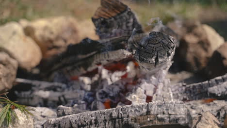 detail of a bonfire