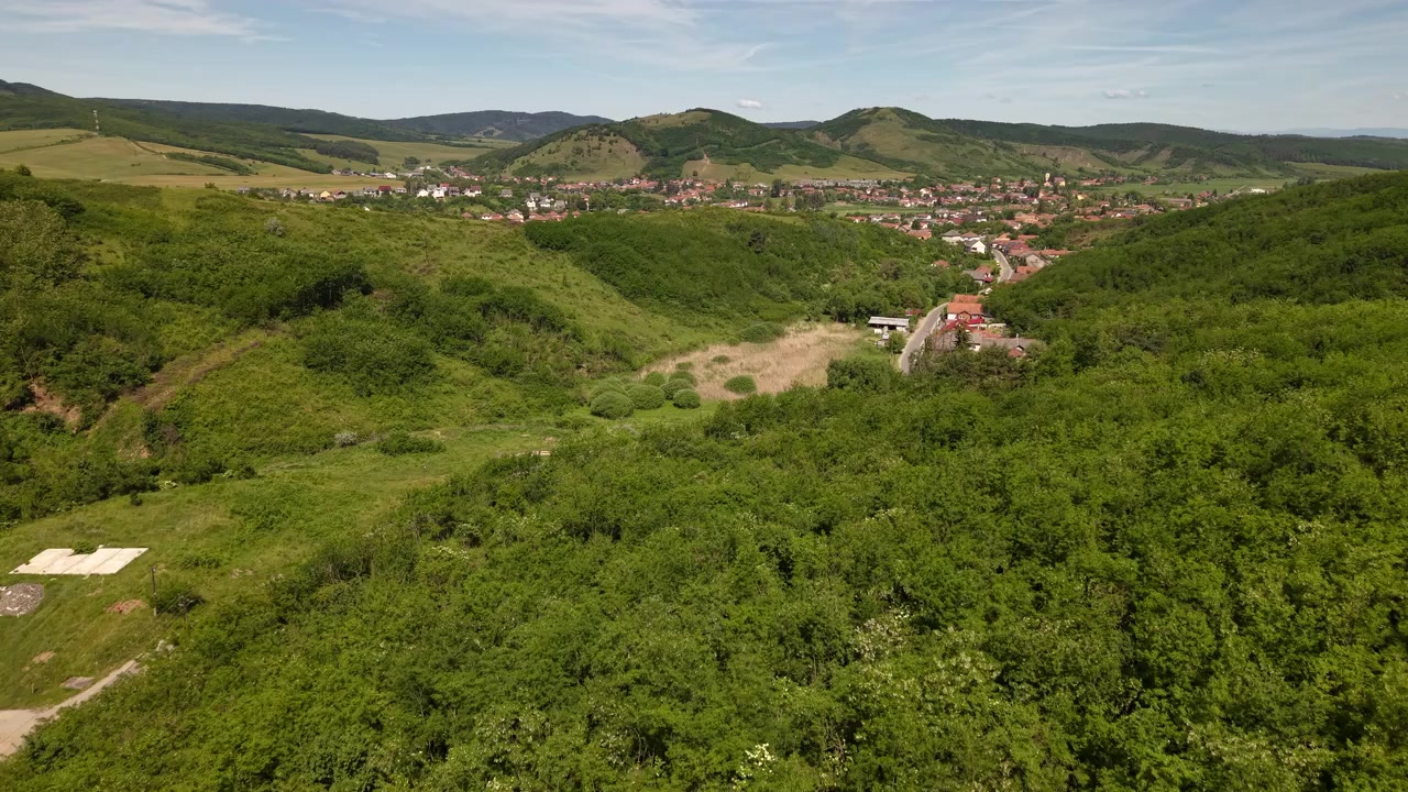 Vasta distesa di alberi verdi e rigogliosi copre dolci colline sotto un cielo azzurro brillante con nuvole sparse.