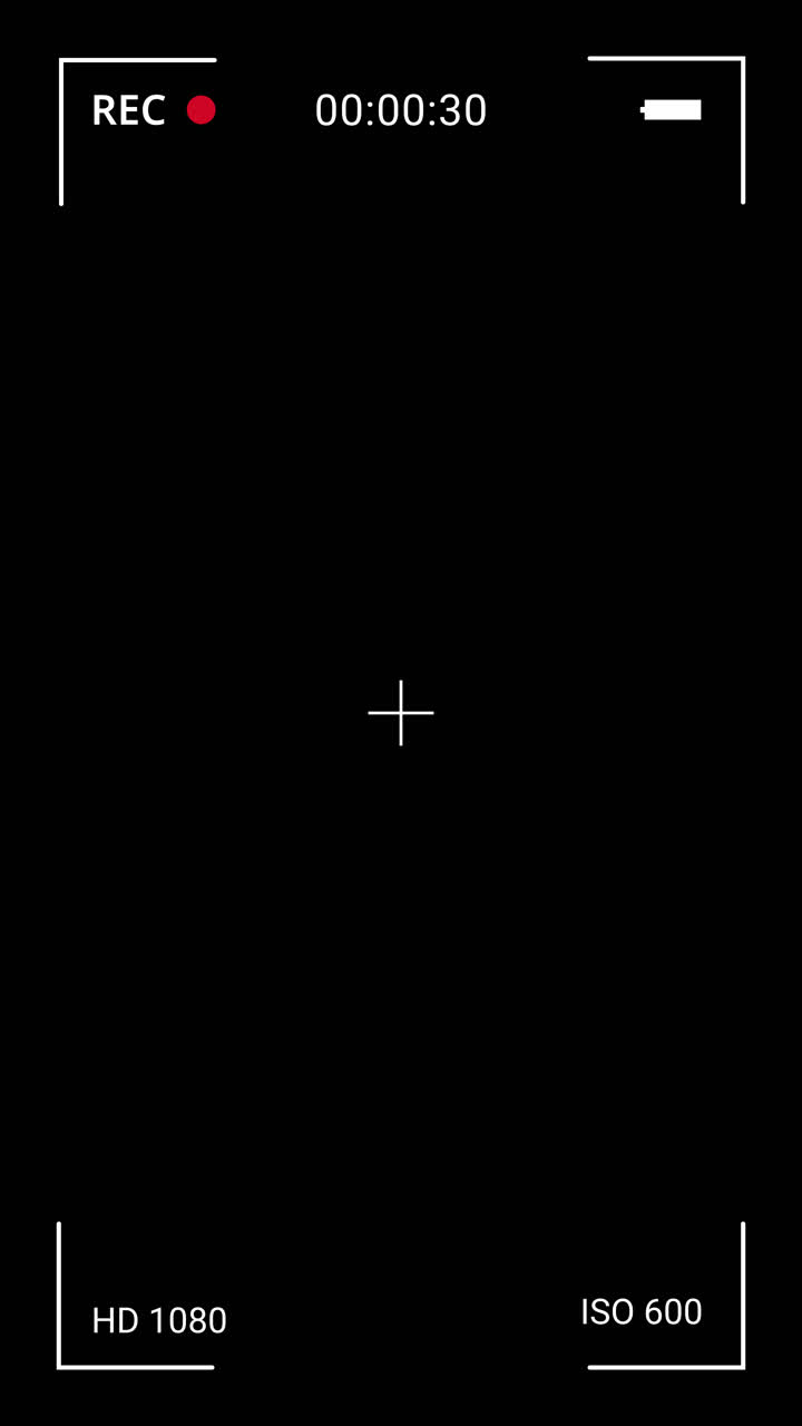 Camera Recording Interface Overlay with Timecode and Indicators