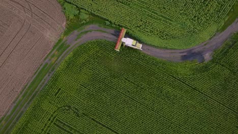 vista aérea de una cosechadora en un campo de maíz