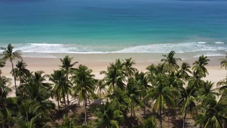 impresionante playa de nacpan, el nido, filipinas, imágenes de drones, aguas cristalinas, orillas bordeadas de palmeras, quad bike, un toque de aventura, olas rompientes, agua azul, escapada tropical