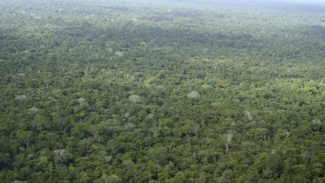 Vista aerea di montagne e giungla in Amazzonia, Ecuador.