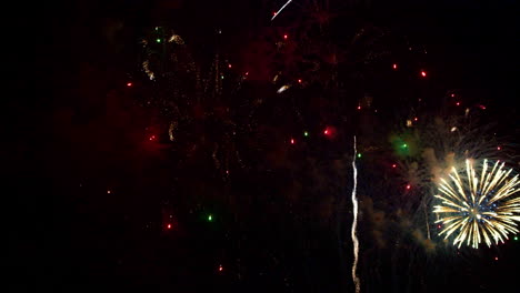 hermosa y colorida exhibición de fuegos artificiales en la noche