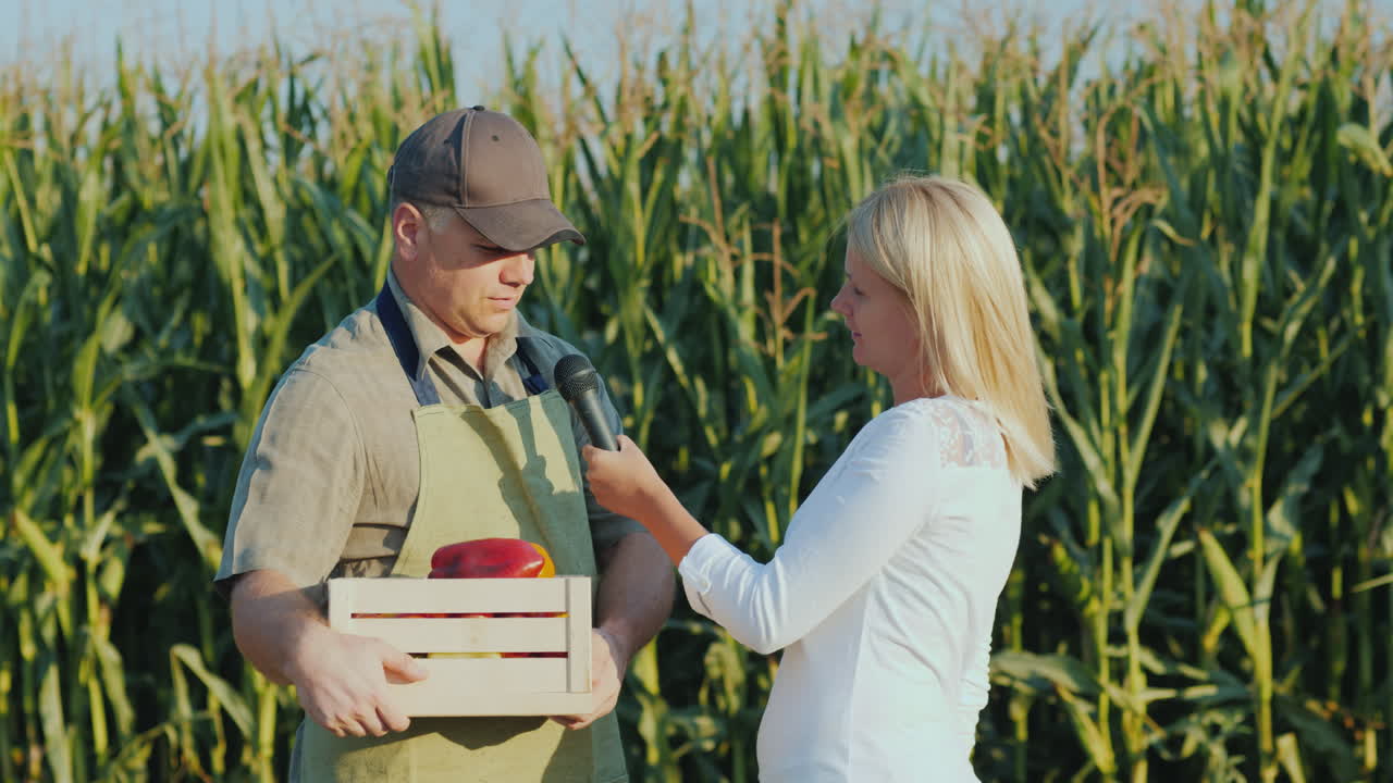 기자가 옥수수 밭을 배경으로 성공적인 농부 스탠드를 인터뷰합니다.