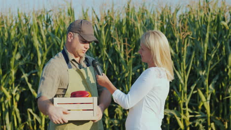 a journalist interviews a successful farmer stand in the background of a field of corn