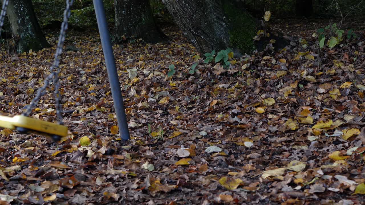 viejo columpio moviéndose a cámara lenta, sin gente en el clip