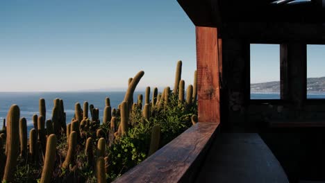 contemplative man in face mask looks out at ocean and cactus landscape