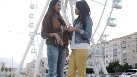 Two-young-woman-in-front-of-a-ferris-wheel