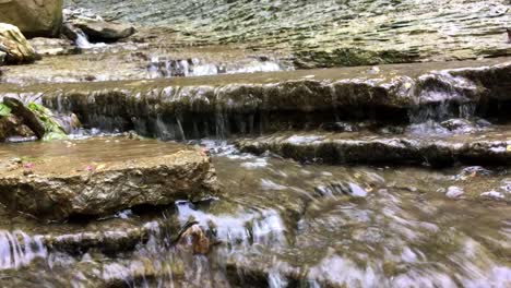 [Nahaufnahme]-Wilder-Fluss-Im-Wald-Von-Bäumen-Mit-Grünen-Blättern-|-Spritzer-Auf-Bach