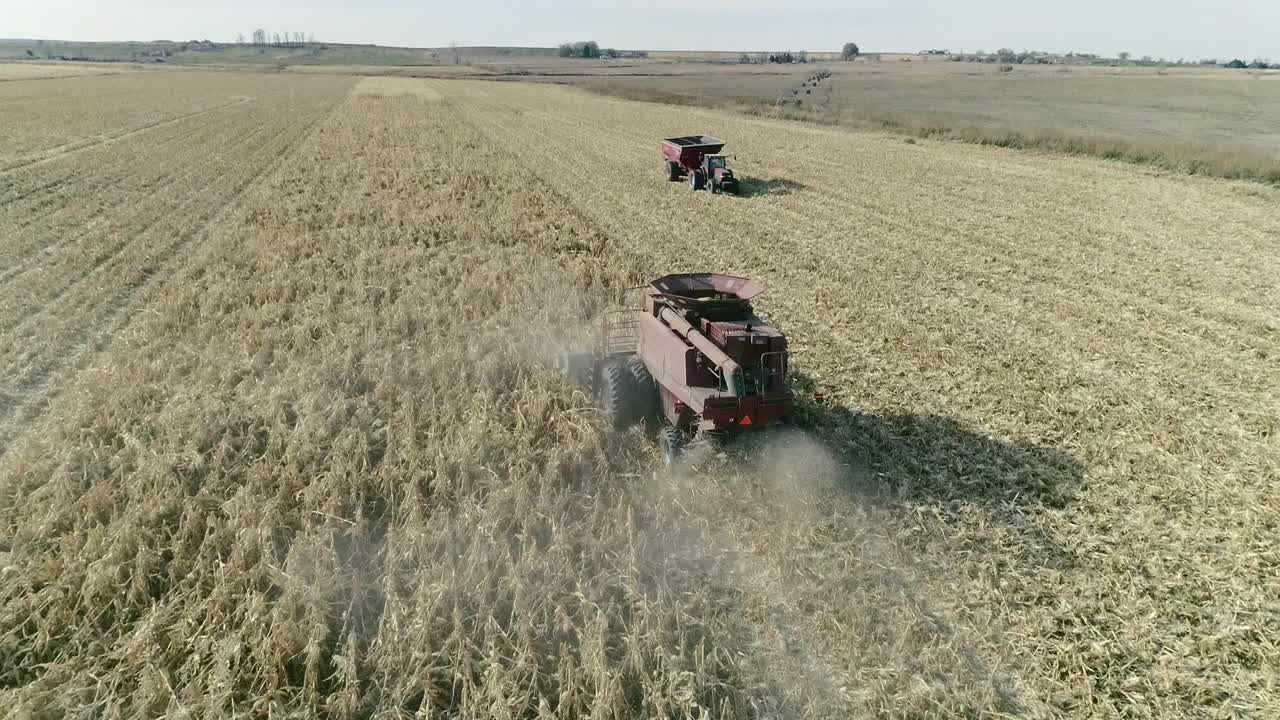 Combine Harvesting Corn in Autumn Aerial