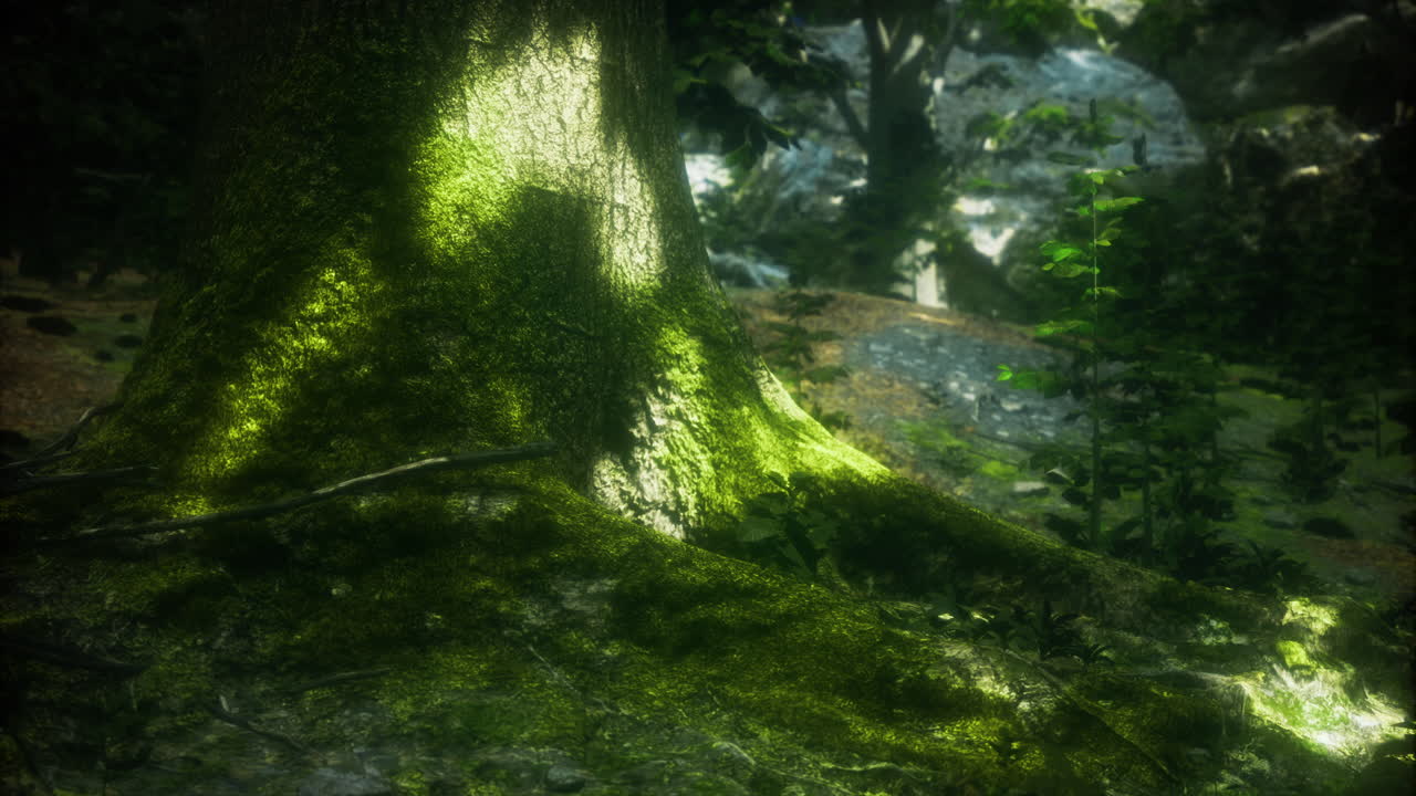 Mossy tree base in a vibrant forest with sunlight filtering through