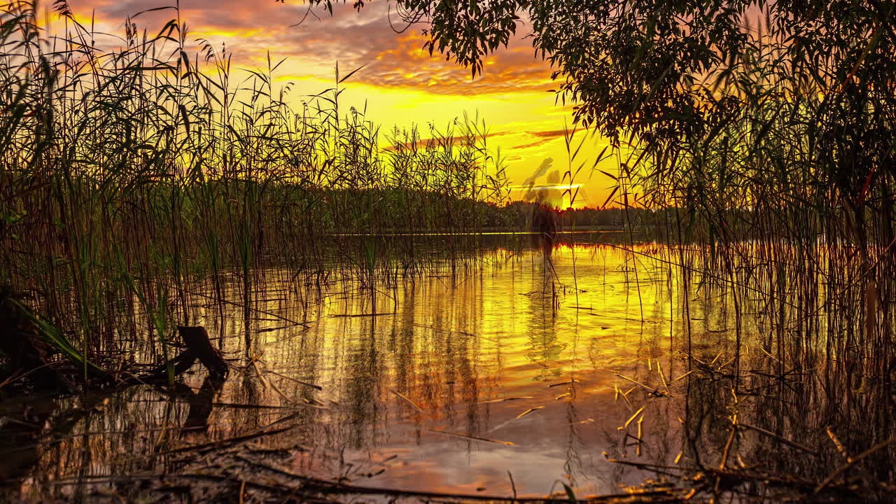 An orange sunset over a large lake, seen from the banks among the reeds