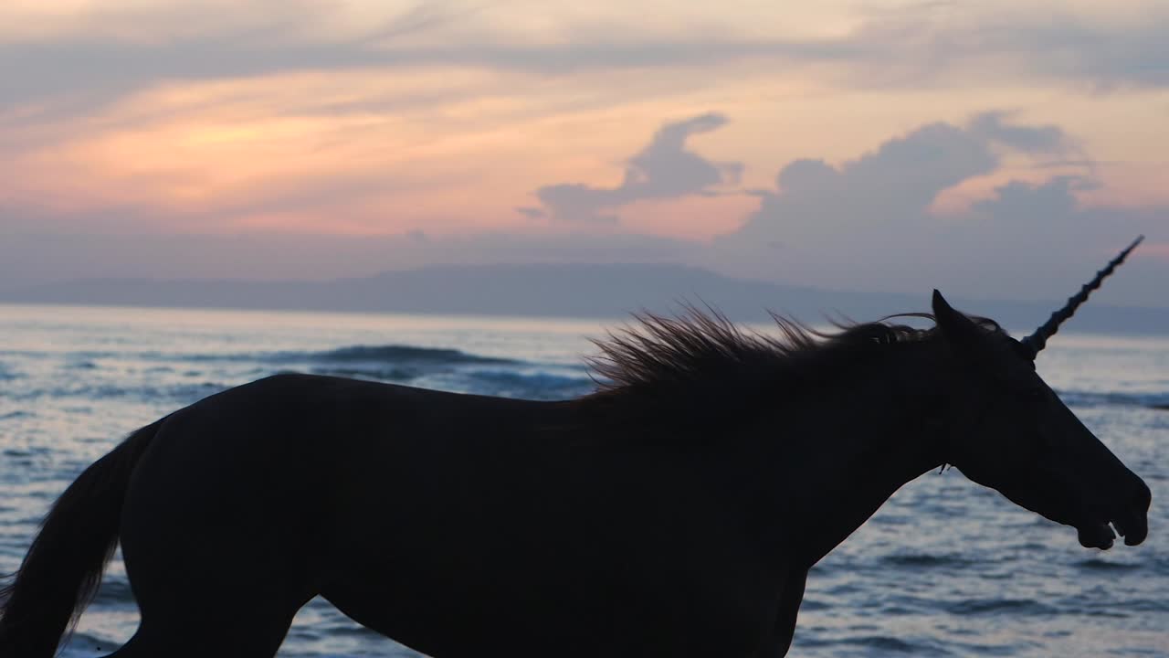 unicornio galopa en la playa durante el amanecer, silueta de bestia mítica, slowmo