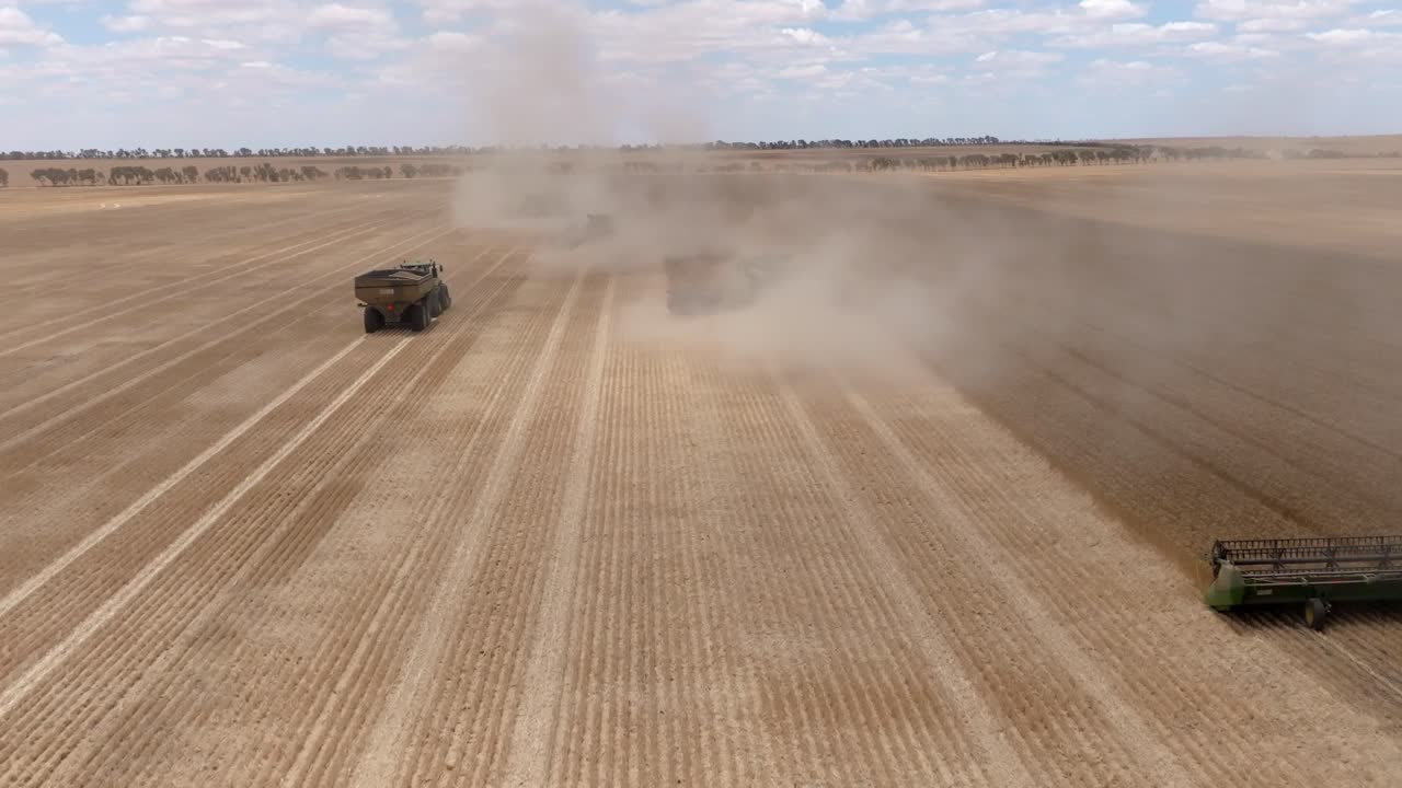 웨스턴오스트레일리아의 넓은 에이커 곡물 수확