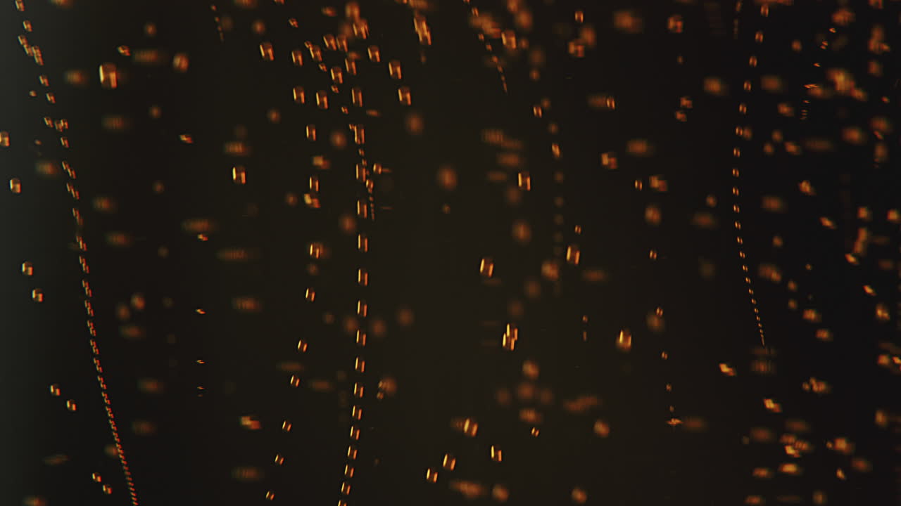 오름차순 붉은 거품 수중의 매크로 샷