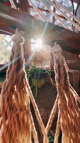 sunlight streaming through a wicker hanging chair