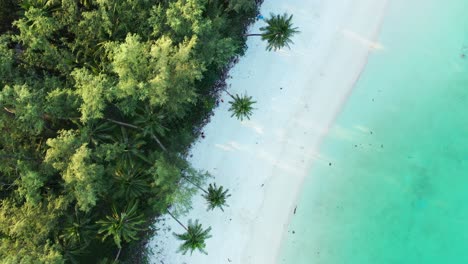 Weißer-Sandstrand-Einer-Tropischen-Insel