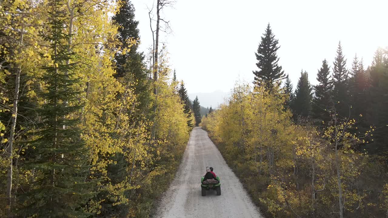 Fun outdoor adventure of two people riding ATV all-terrain vehicle machine on remote rural dirt straight and narrow road in outside wilderness with tall green and yellow trees, Utah, aerial tracking