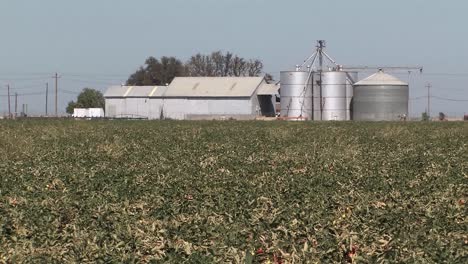 Silos-and-barn-in-California,-USA