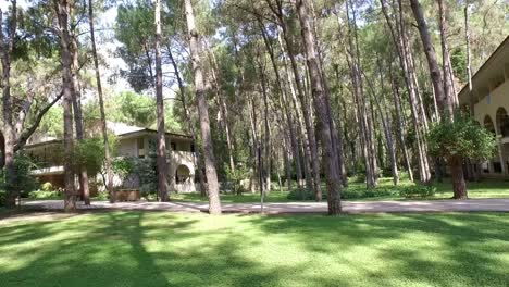 house in the middle of the forest