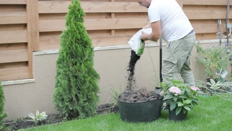 man pouring soil for backyard gardening and landscaping project, preparing flower bed and plants for outdoor home improvement in residential yard with greenery and decorative shrubs