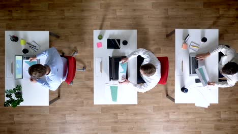 three young businessman are working on laptops, watch diagrams simultaneously, work concept, office concept, communication concept, top shot