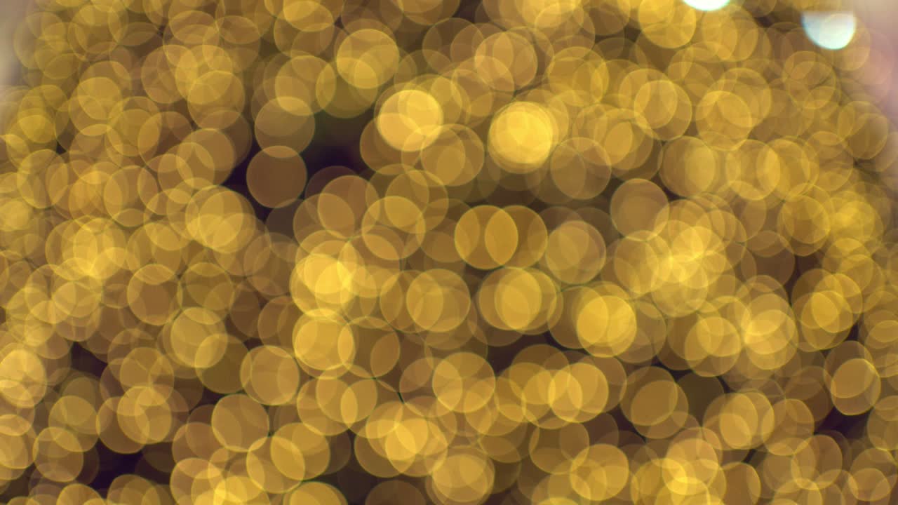 크리스마스 트리 의 불빛 의 보케