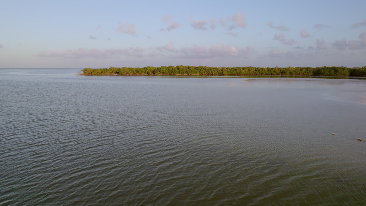 Tomada FPV de uma Bela Praia com Vegetação Selvagem