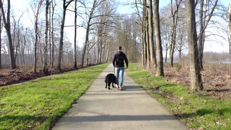 guy with his dog walking away from the camera in a park