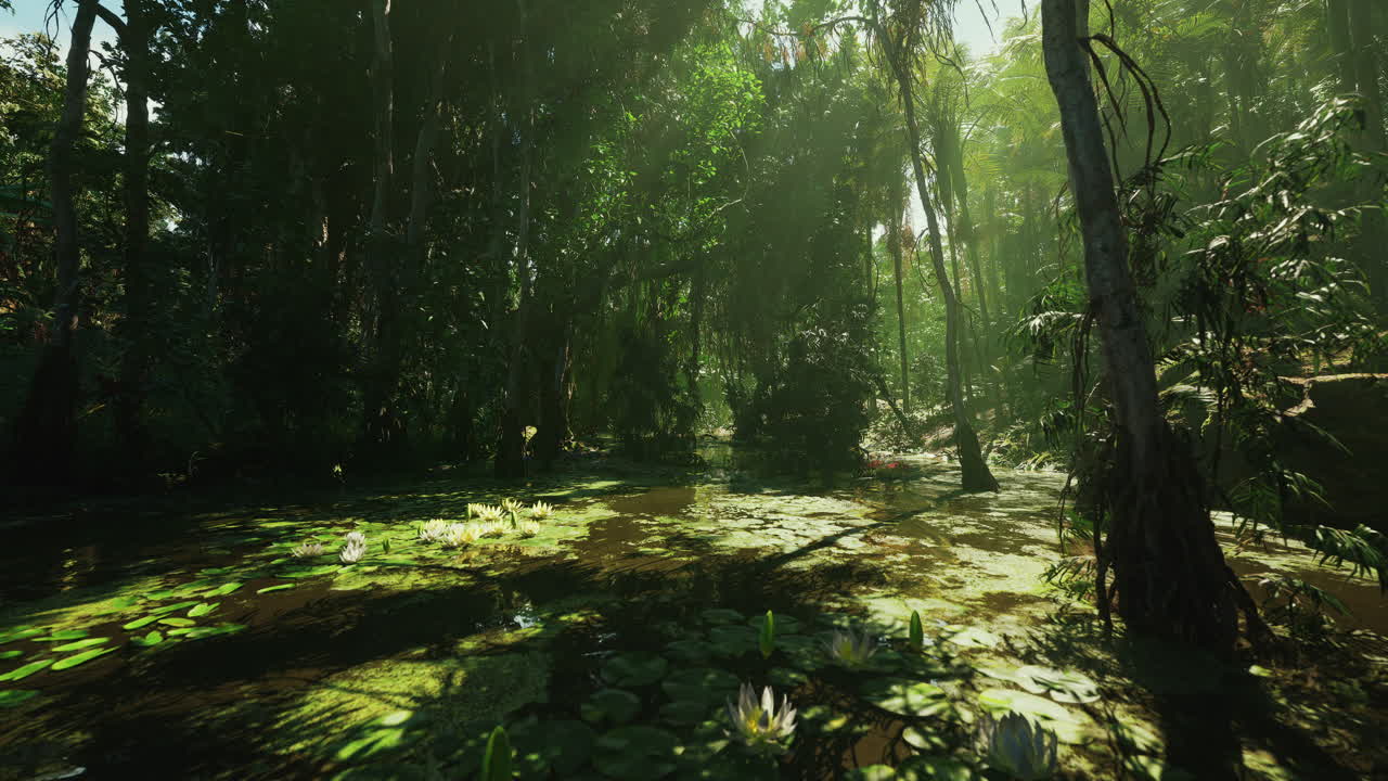 Enchanted swamp environment with shimmering reflections and mysterious mist