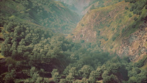 Hoher-Berg-In-Der-Morgenzeit